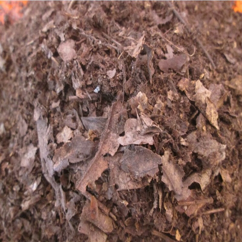 旭杉斯lzjv腐叶土橡树叶腐叶君子兰兰花卉植物专用通用腐熟腐叶土松针