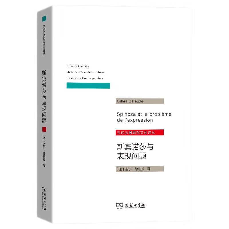 斯宾诺莎与表现问题/当代法国思想文化译丛