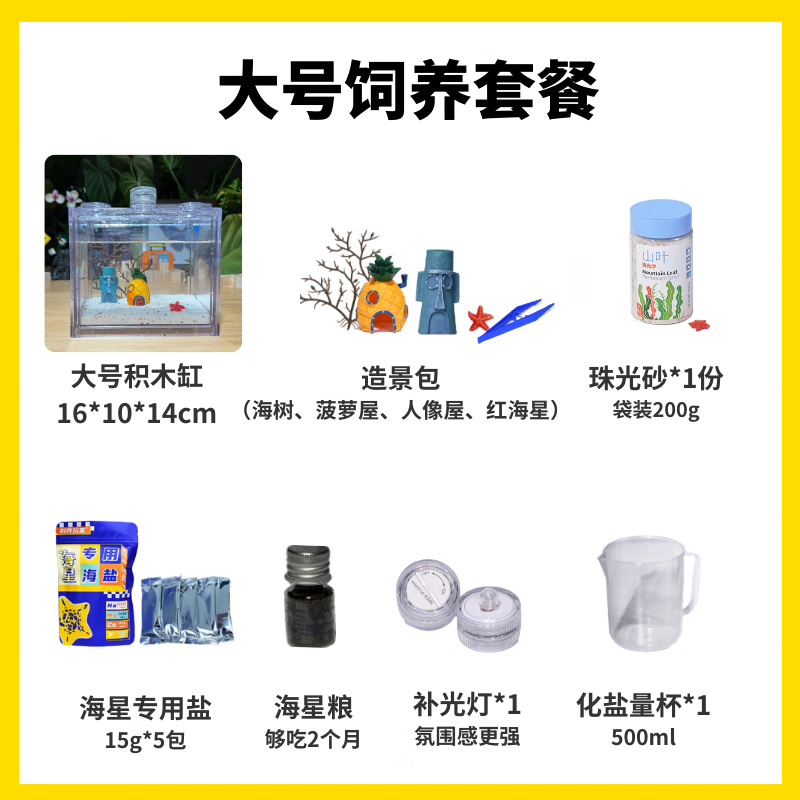 OIMG【海星飼養(yǎng)套餐】海星寵物活體迷你海洋生物小海燕專用海鹽珠光砂 大號(hào)派大星套餐 送2只海燕海星