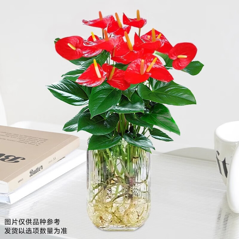 ����һ����ˮ��������Դ���һ����˳����ֲ�����ں�����ֲ���������ļ����� ���������ؼ����ơ�U�Ͳ���ƿ�� 32Ԫ