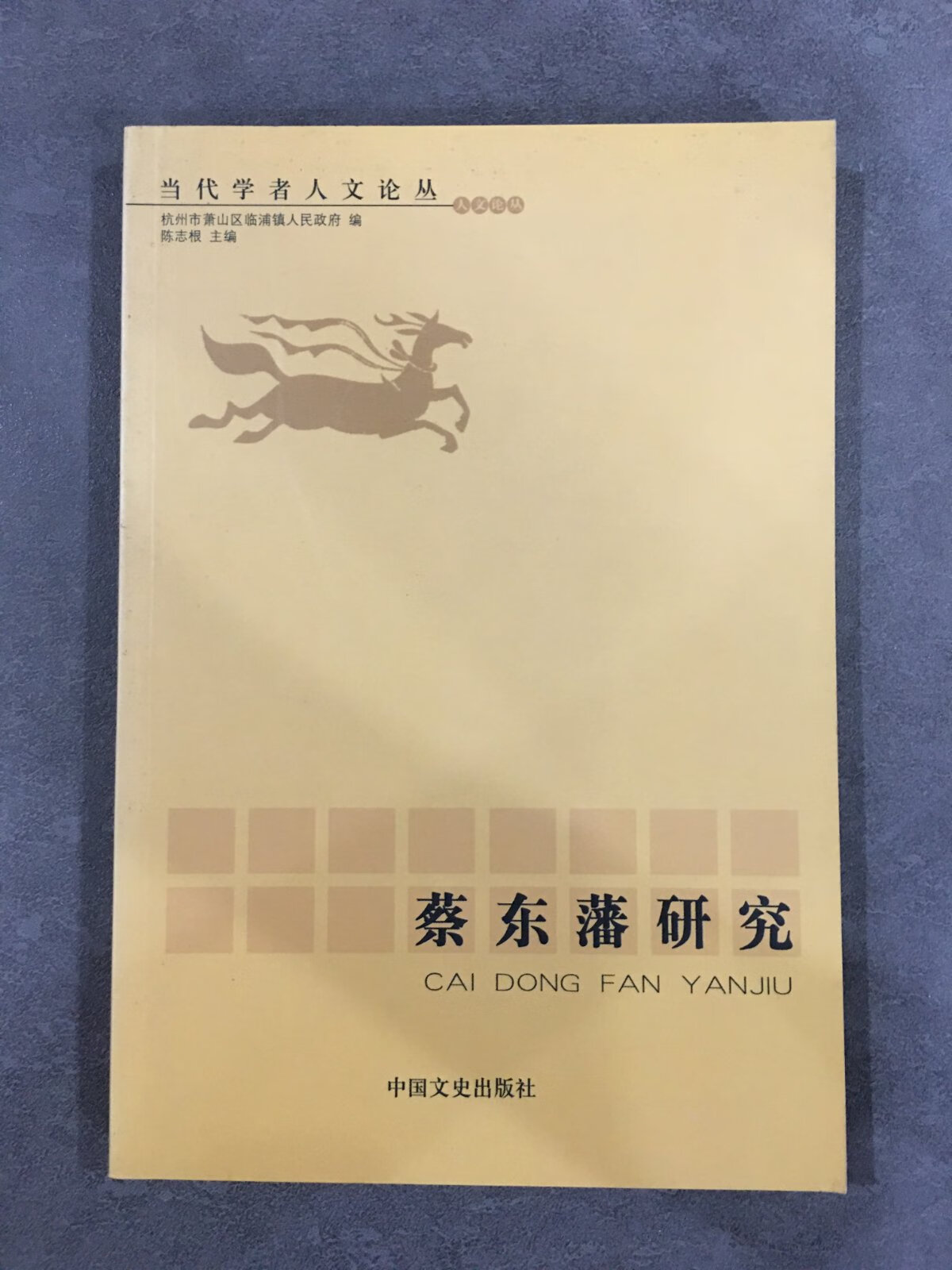 [二手9成新] 蔡东藩研究