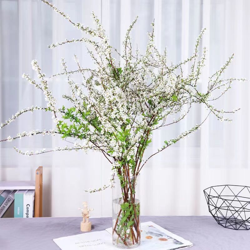clcey雪柳鲜枝水培干枝支水培植物花卉室内冬季鲜花好养活开花重瓣