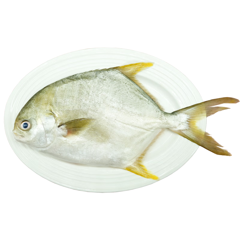 ʾɡʡ ɽ3/3 رƷ  Դͷֱ