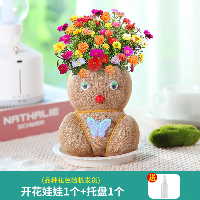 山头林村草头娃娃头上长草人小盆栽种植浇水长头发儿童种草幼儿园网红