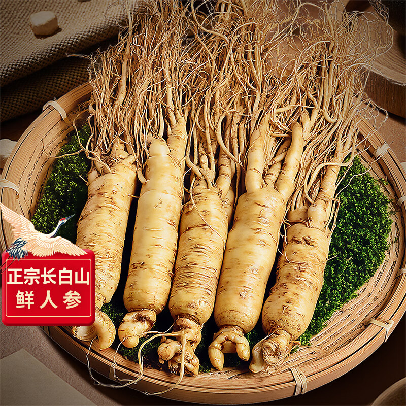 长白山人参鲜人参泡酒材料5年鲜人参泡酒煲汤保鲜参送长辈礼品5支装