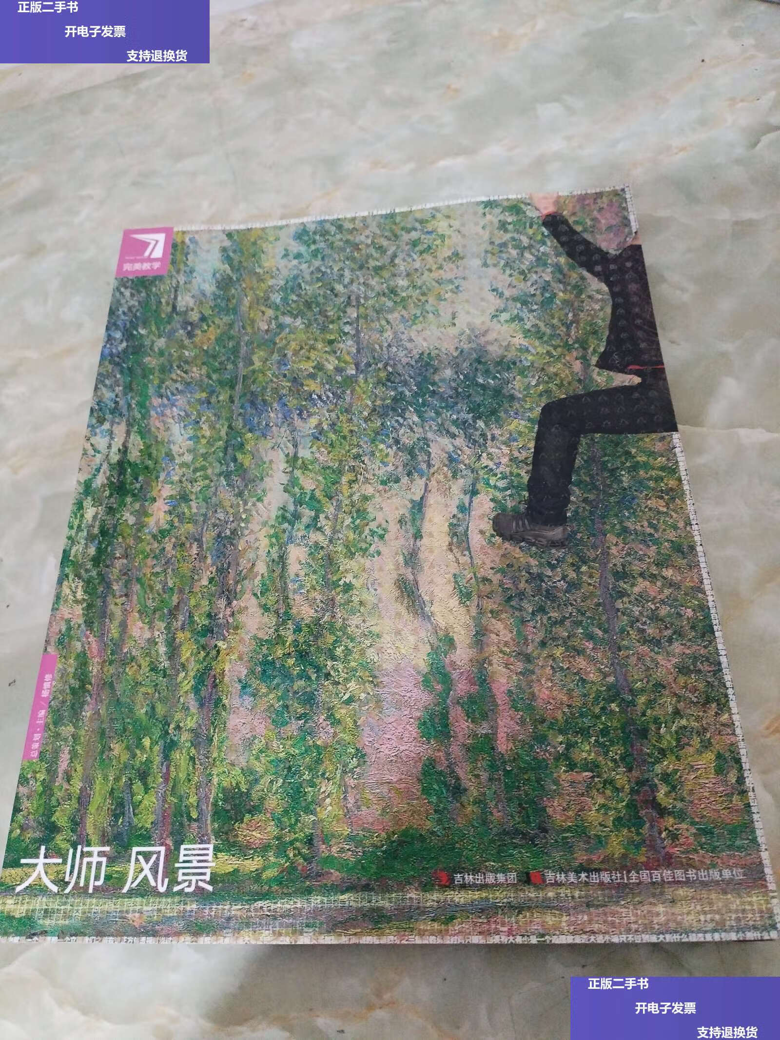 【二手9成新】完美教学:大师风景 /杨慎修 吉林美术