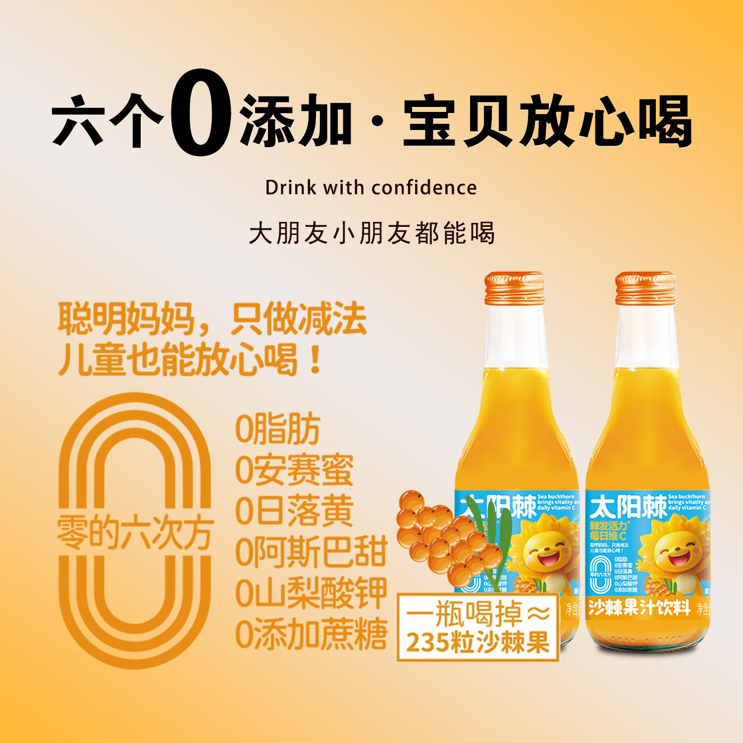 沙漠之花果蔬汁内蒙沙棘饮料235ml/瓶聚会访友富含VC健康饮品礼品礼盒装 235ml*6瓶*2箱 -配料干净 营养健康