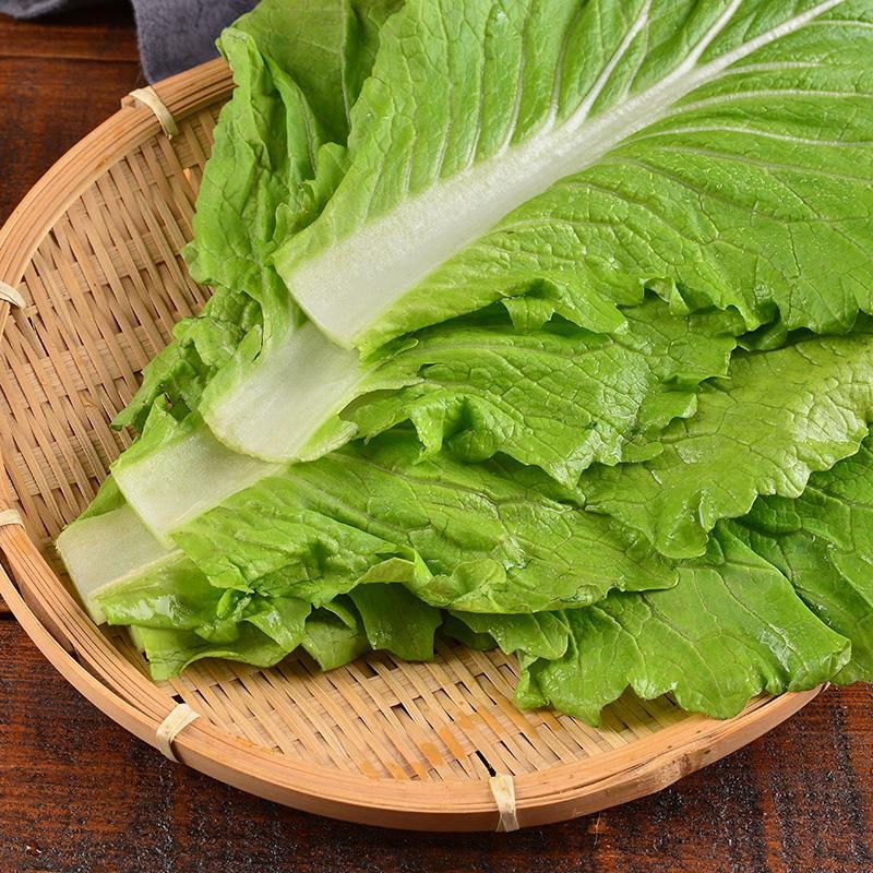 东北大白菜叶子饭包叶打包叶生吃新鲜蔬菜白菜叶蘸酱菜 5片