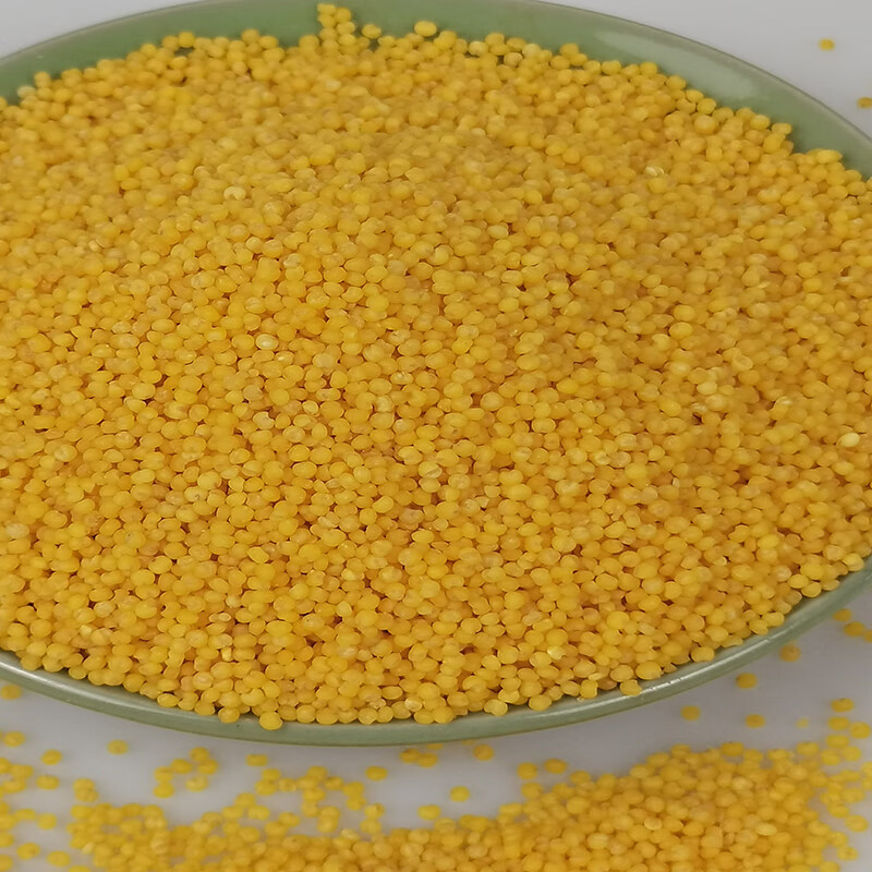 翼若天云山西特产长治沁县沁州黄小米5斤主杂粮月子油子小黄米煲粥