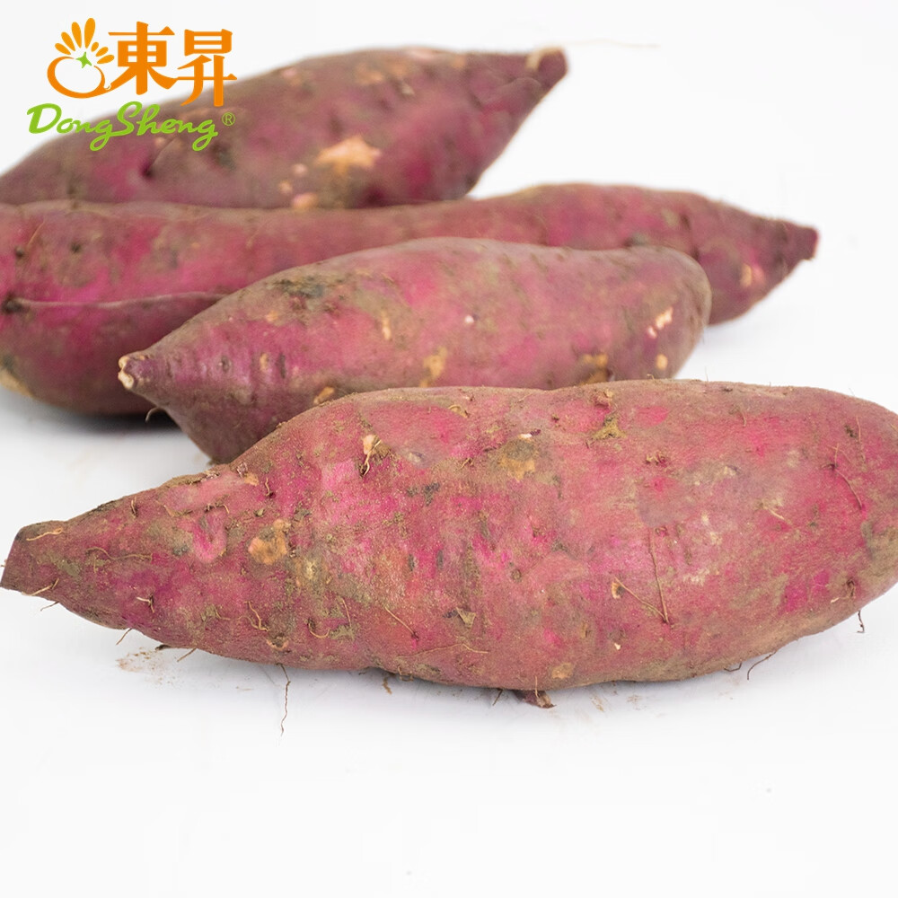 東昇(DongSheng)东升1号蜜薯大果 3斤/10斤 栗粉香甜 广州发货 中通包邮 10斤