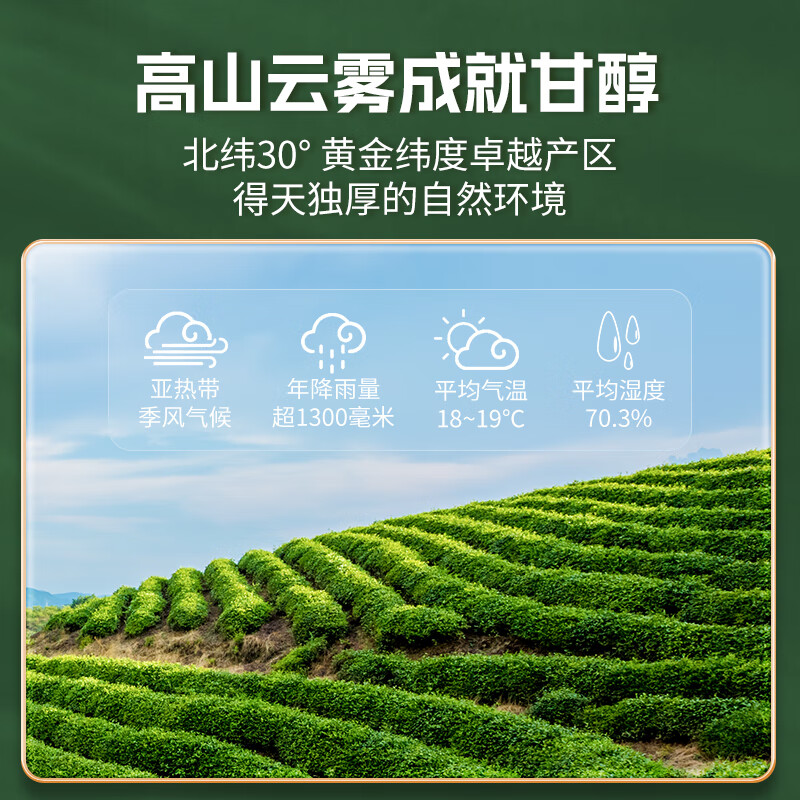 西湖江南茶叶 2023年新茶 春茶30g30g的茶怎么样？