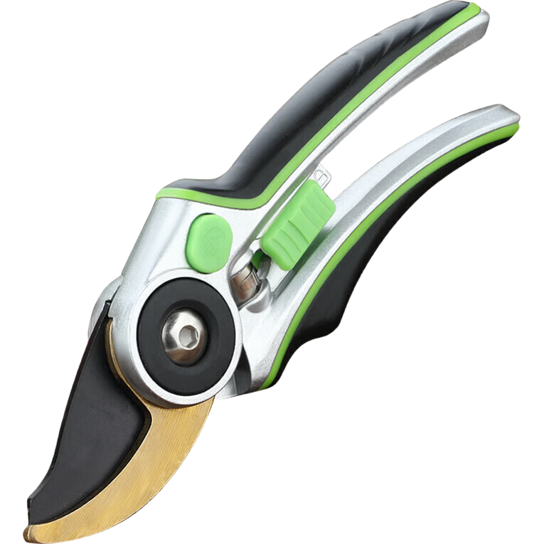 ֦ͬͥ԰ռǿʡ֦԰ֻ֦ժˮ ֱ֦