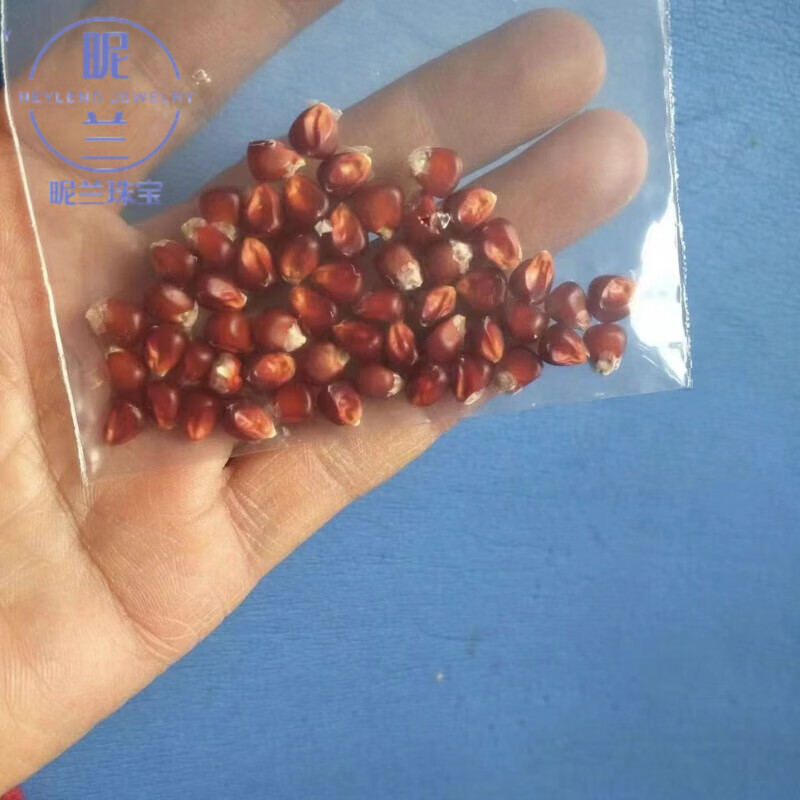 手把件迷你血丝配件小红种子挂绳真新款珍珠袖珍 红玉米种子非玉米