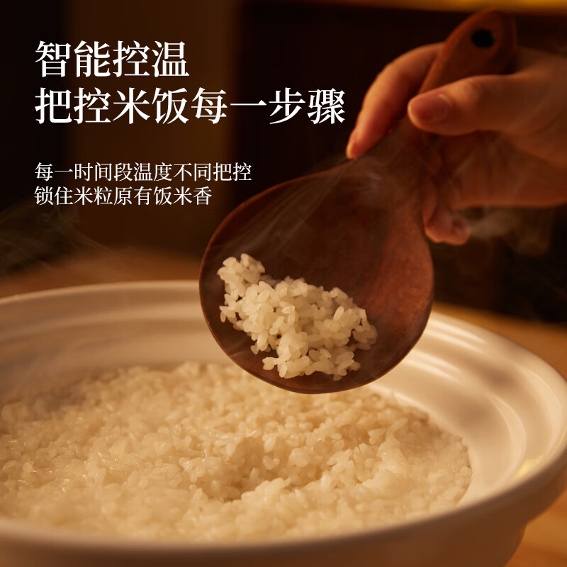 石崎成器日本 陶瓷内胆电饭煲 无涂层电饭煲 家用微压电饭锅柴火饭土陶伊贺烧3L煮饭防溢煲汤砂锅预约 胡椒白 3L