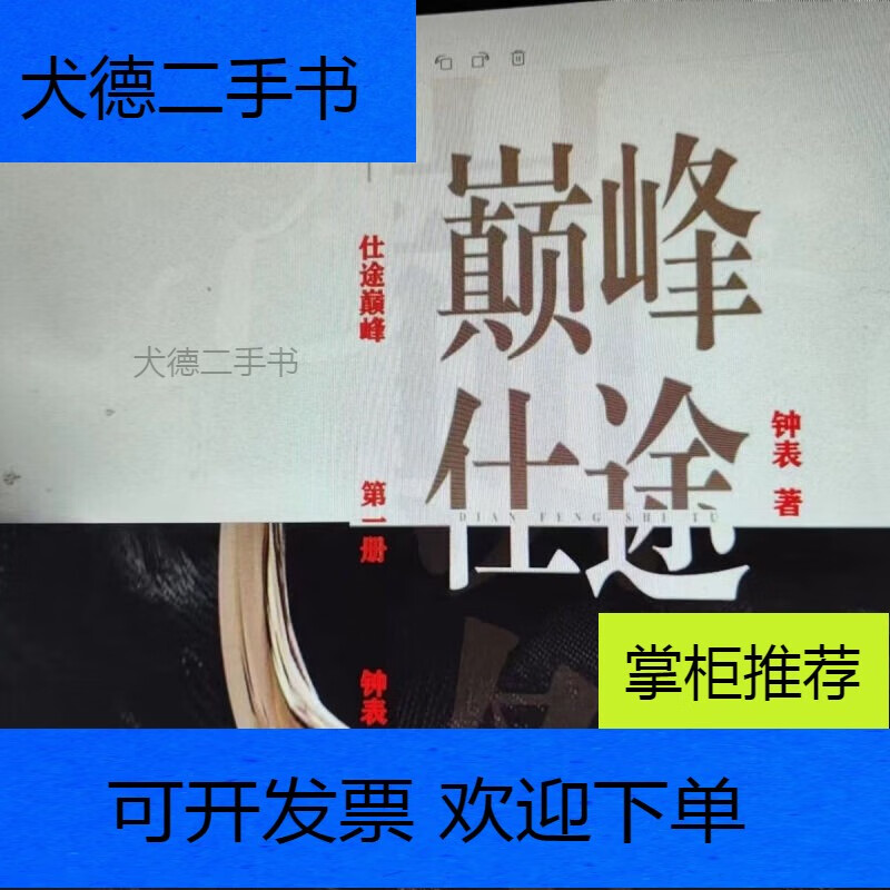 从基层到中央的仕途小说