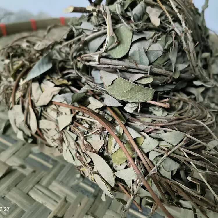 北京同仁堂野生中草药假花生野花生假地豆大青叶山花生干品500克 整株