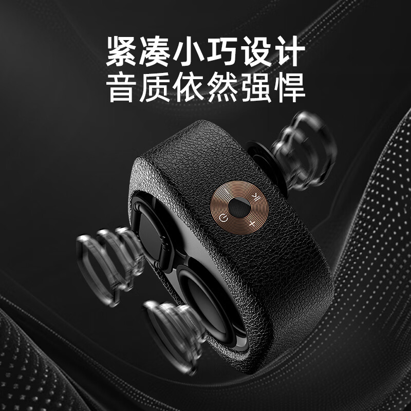 奋达（F&D）蓝牙音响 户外便携音箱 电脑音响 防水长续航低音炮大音量 RW10【便携10h续航大音量】