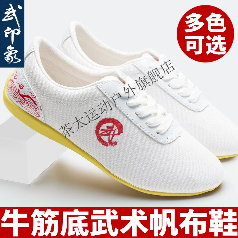 雷莲欣武术鞋训练专用鞋儿童男牛筋底帆布太极练功鞋女童武术训练鞋 白色 26
