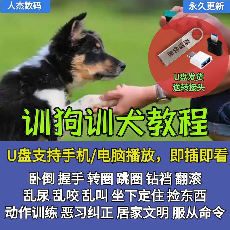 训犬师家庭大小便名犬零基础秘籍影片课程专业训练 64gb 训犬教程全集