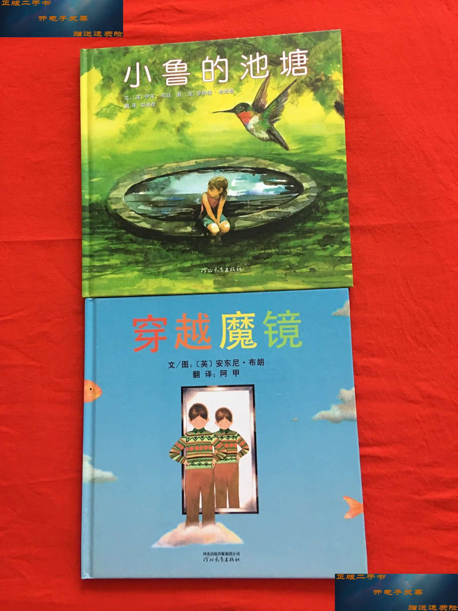 【二手9成新】穿越魔镜 小鲁的池塘 /阿甲 河北教育