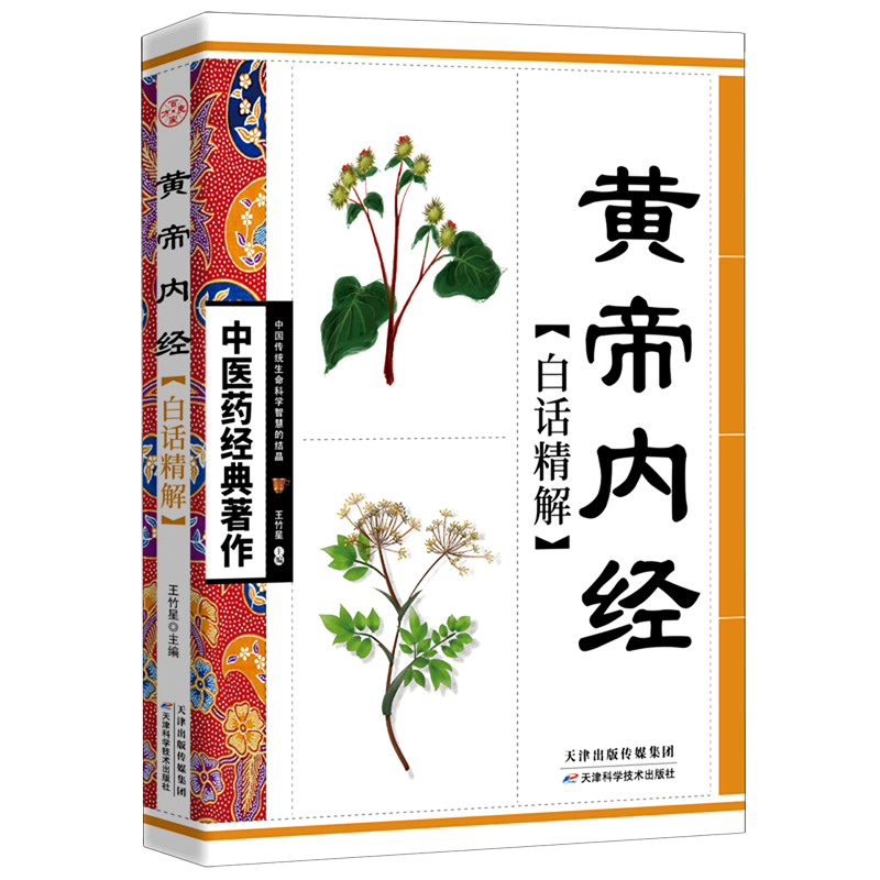 黄帝内经白话精解