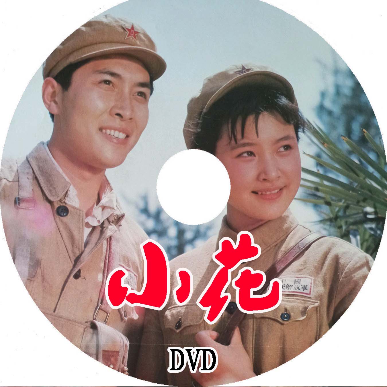 高清修复老电影  小花 dvd盒装 陈冲 唐国强 刘晓庆  无字幕