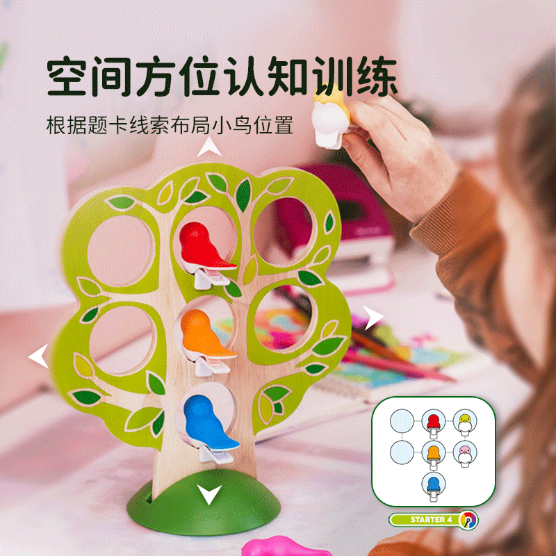 SMART GAMES小鸟安家 儿童益智桌游创意亲子桌游教具 女孩六一礼物 5岁+ 小鸟安家