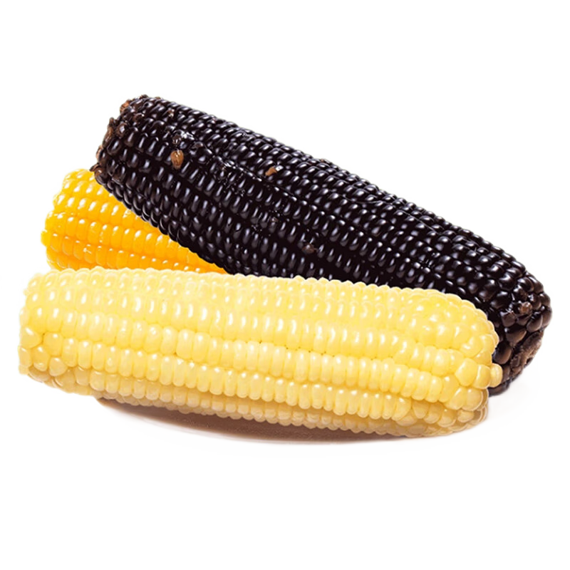 ջ24 Ŵ γ46 װ  װ 200g*10 433ʵ23.99Ԫ