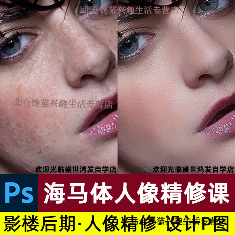 海马体人像精修摄影修图教程 人像精修课程含课程素材ps修图教程