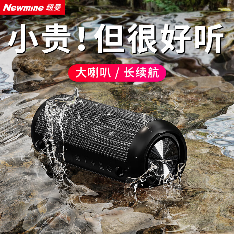 纽曼纽曼N515蓝牙音箱大功率移动手提便携式户外露营广场舞重低音炮高 [经典款]20W音量|震撼好音质