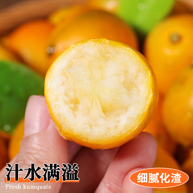 融安金桔旗舰店正宗广西融安金桔第三代脆蜜金柑甜脆皮滑生鲜年货礼盒 【推荐】滑皮净重1.8斤 20g+【独立装】伴手礼 无提袋
