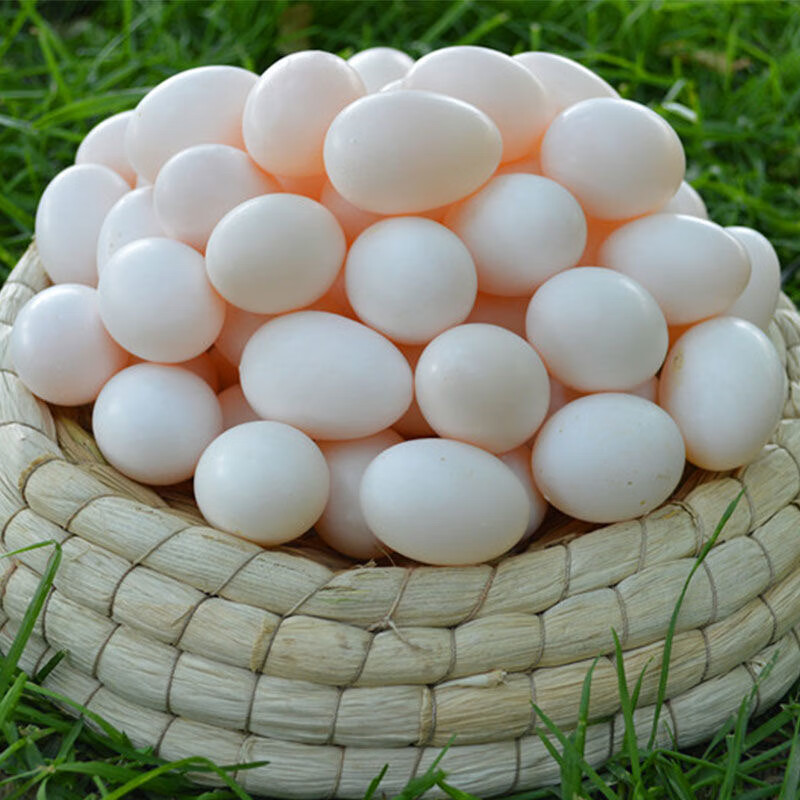沂鲜新鲜鸽子蛋正宗五谷杂粮散养信鸽蛋30枚孕妇宝宝农家初生蛋礼盒装 鸽子蛋30枚