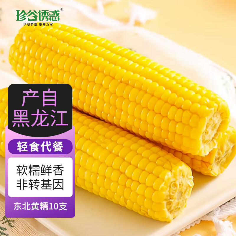 珍谷诱惑25年新糯玉米 东北甜糯真空鲜食玉米棒 粘苞米 低脂代餐零食粗粮 精品黄糯玉米10支 2.4kg