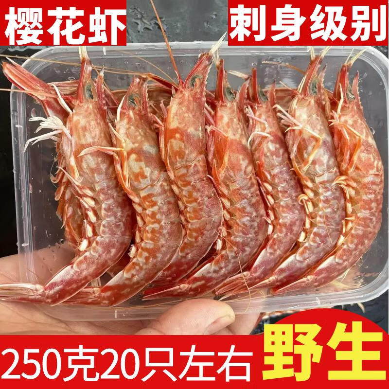 樱花虾野生海捕新鲜鲜活刺身甜虾特大号海虾生腌活冻樱花虾鲜活 250g