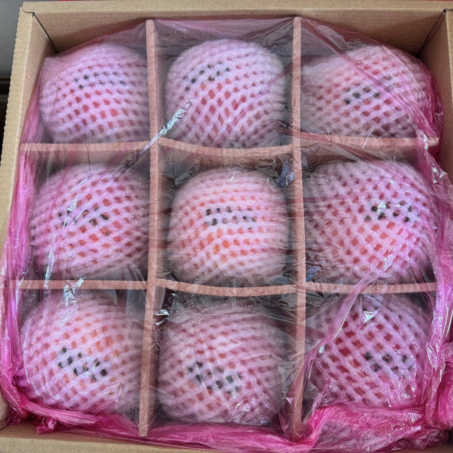 灵宝苹果 LINGBAO APPLE2025灵宝正宗寺河山SOD红富士苹果礼盒装新鲜天然富硒脆甜爽口 100mm以上（手提9个装）