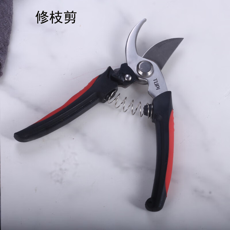 杜准瑜果树修枝剪刀不锈钢家用园艺剪刀回弹修枝剪树枝剪刀花艺剪子
