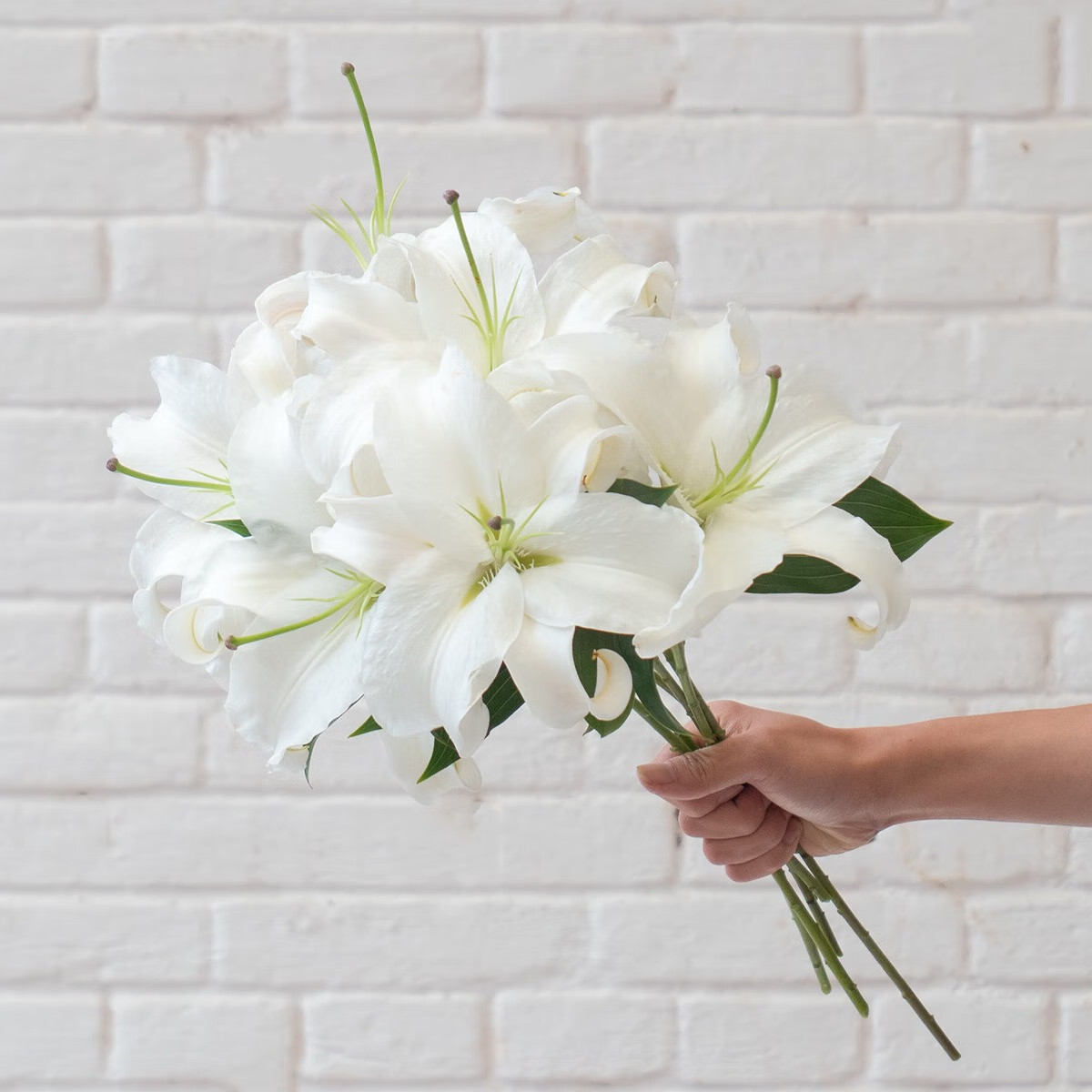 花之苑昆明基地鲜花直发家庭生活鲜花小雏菊花束百合鲜花 白百合10朵