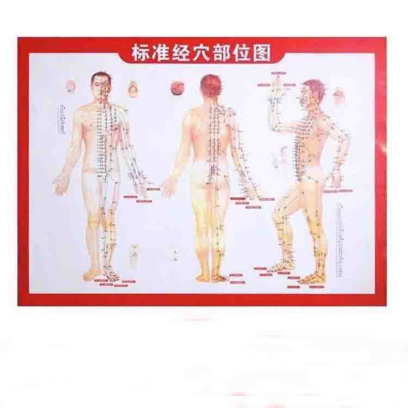 优品卫成人洗头刷硅胶硬刷洗头神器疏通经络刷按摩头部梳子沐浴洗头 经络刷+经络图 3个装