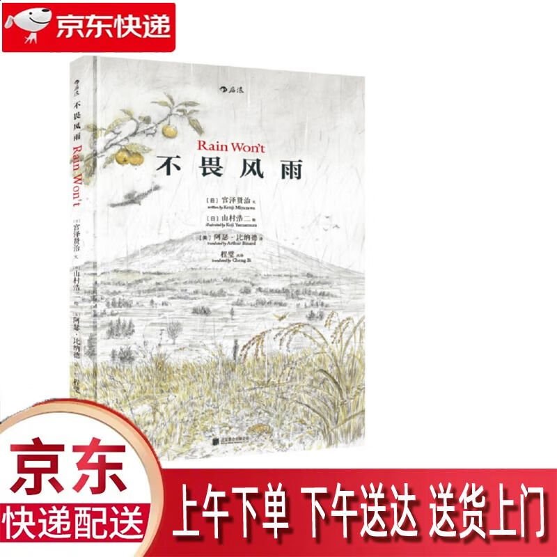 【新华正版畅销图书】不畏风雨 北京联合出版公司 宫泽贤治