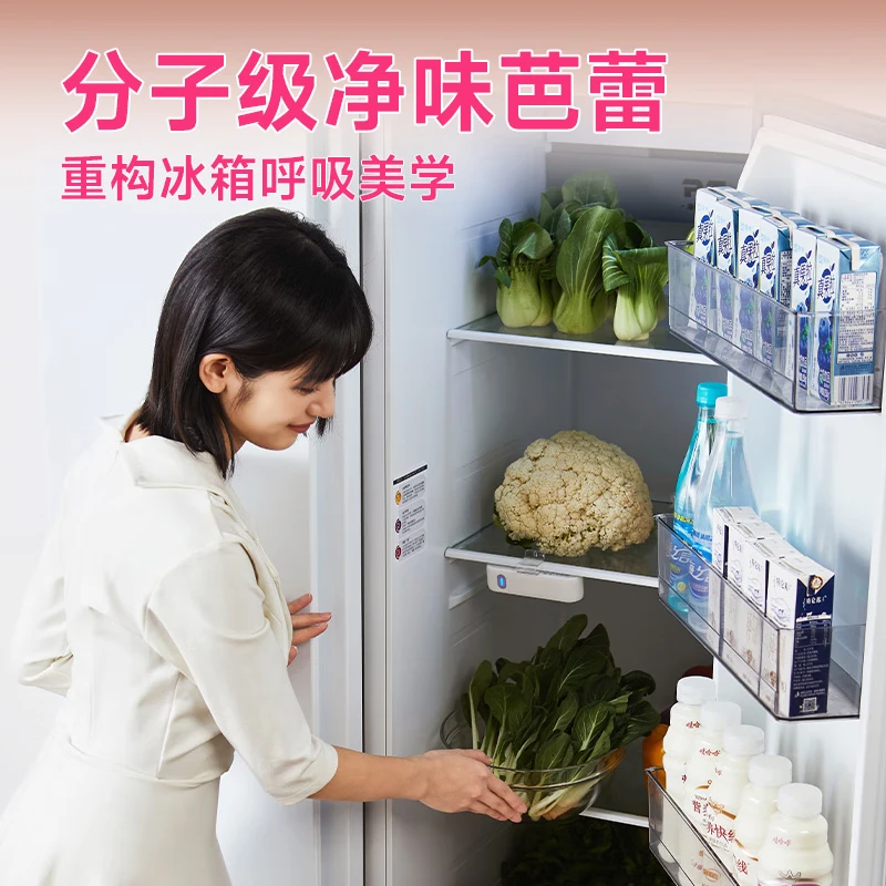 蓝力鲸冰箱除味器杀菌保鲜除臭便携式宠物除味去异味空气净化臭氧抑菌 标准款+1档控制+续航20天+一年质保