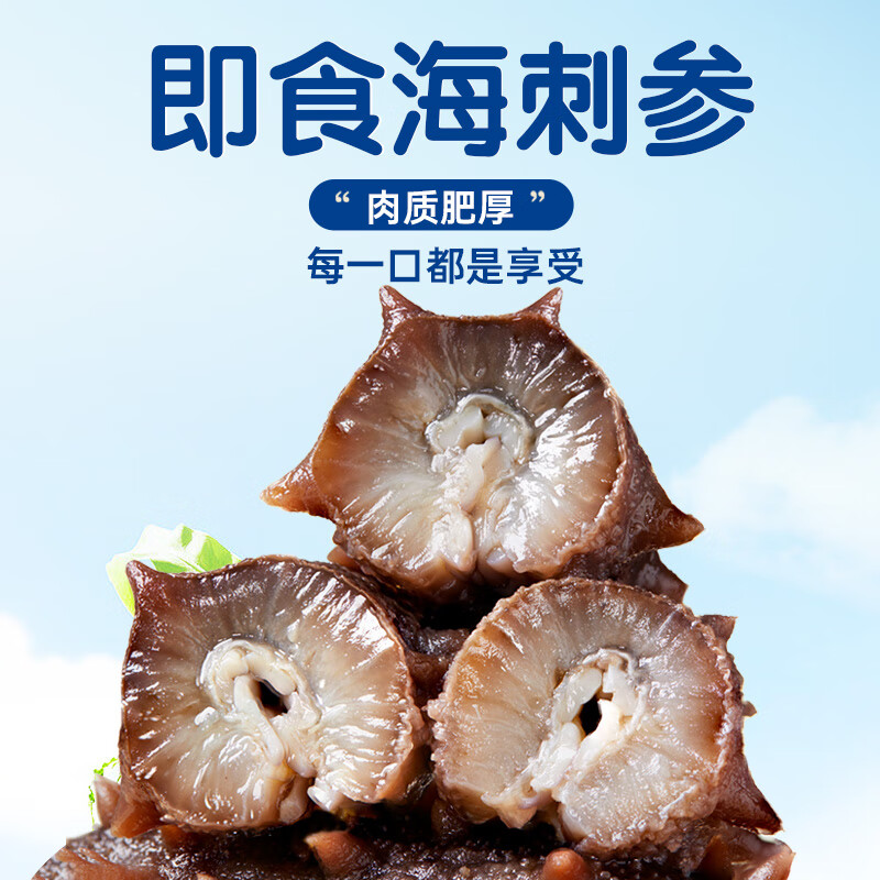 海晏堂大连即食海参辽刺参固形物≥70%开袋即食海鲜水产鲜即食海参礼盒 简装500g(15-18头）