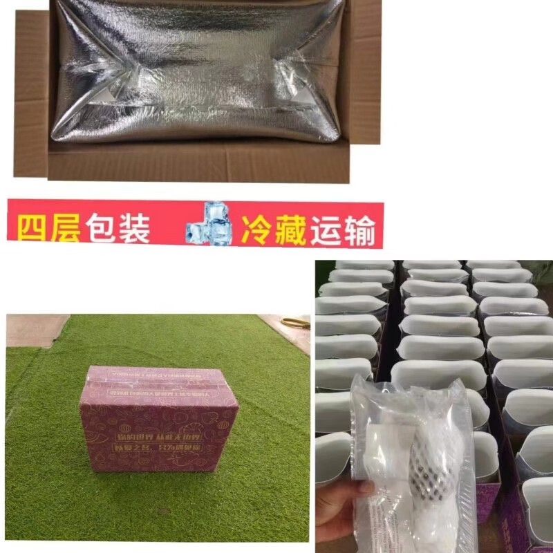 陕西正宗户太八号葡萄新鲜采摘整串发货冷链运输礼盒整箱包邮 4.8-5.5斤 精选礼盒(2-3串)