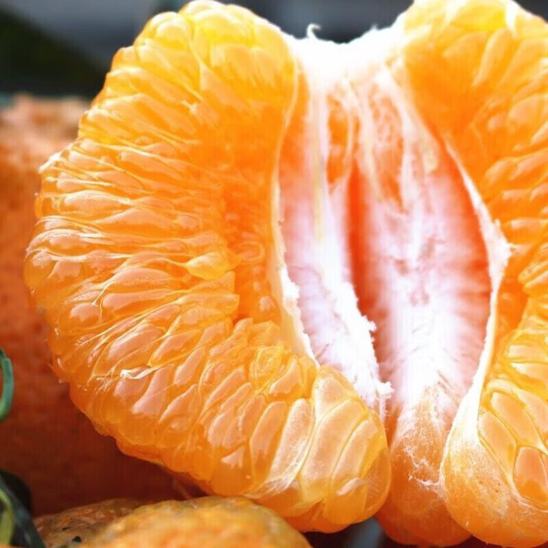 勇者无惧正宗四川春见耙耙柑特大果一整箱丑八怪丑橘子粑粑柑新鲜水果 净重4.5斤【精美彩箱装】 【特大果】果经80-85mm