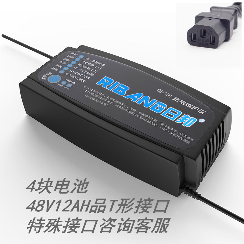 星舵电动车电瓶充电器48v20ah48v12ah60v20ah64v72v20a依莱达绿源绿亮