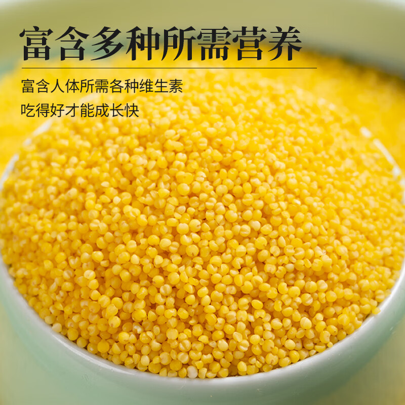 汾都香23年新米山西黄小米小米粥五谷杂粮粟 新小米5斤