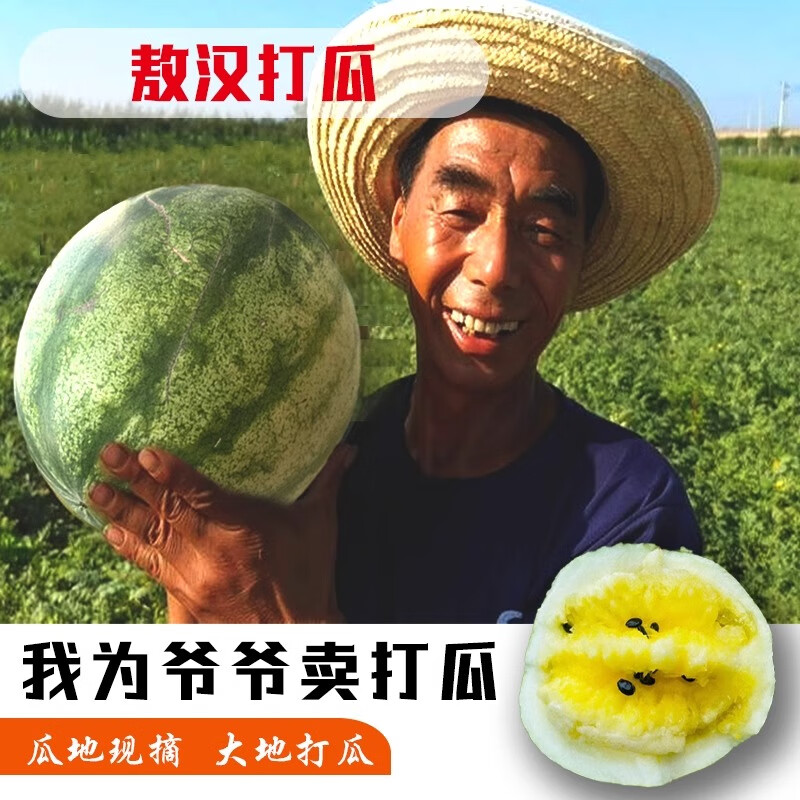 花农氏赤峰敖汉黄壤打瓜  现摘现发  新鲜打瓜 7斤 7-8斤现摘打瓜1个