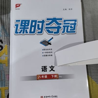 2024 课时夺冠八年级语文人教版下册 2024 课时夺冠八年级语文人教