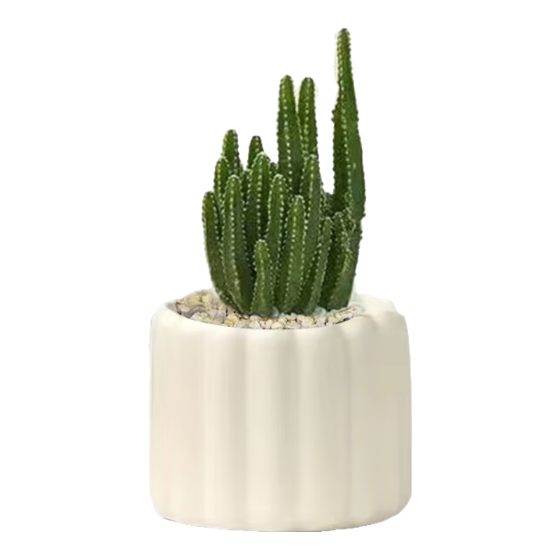 ����������ɽ������С������ֲ�칫���ں�������ֲ����������Դͷֱ�� 16.9Ԫ