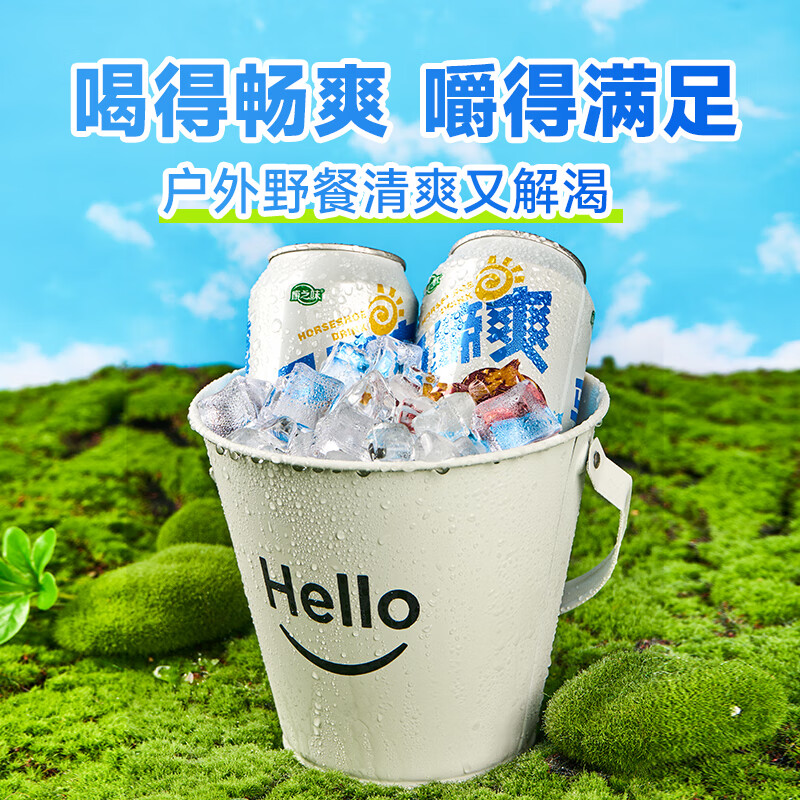 康之味马蹄爽送礼0添加真实荸荠果肉果味聚会饮料果汁 马蹄爽310ml*6听