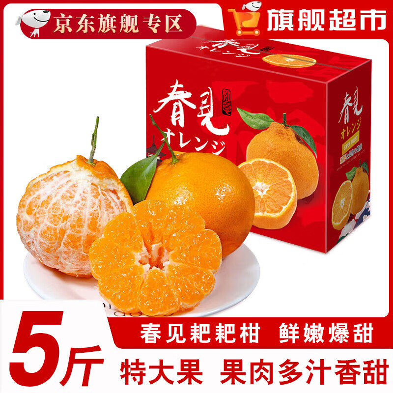 勇者无惧正宗四川春见耙耙柑特大果一整箱丑八怪丑橘子粑粑柑新鲜水果 净重4.5斤【精美彩箱装】 【特大果】果经80-85mm